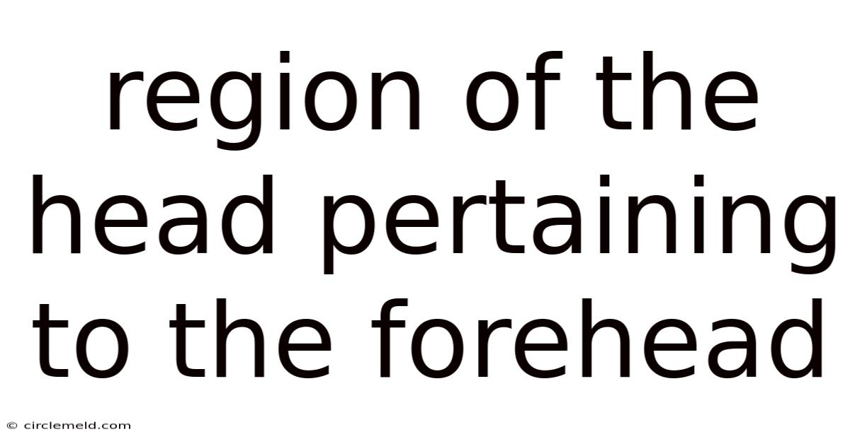 Region Of The Head Pertaining To The Forehead
