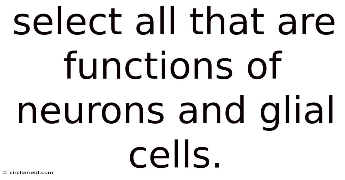 Select All That Are Functions Of Neurons And Glial Cells.