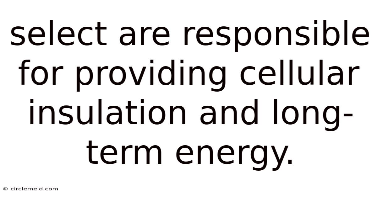 Select Are Responsible For Providing Cellular Insulation And Long-term Energy.