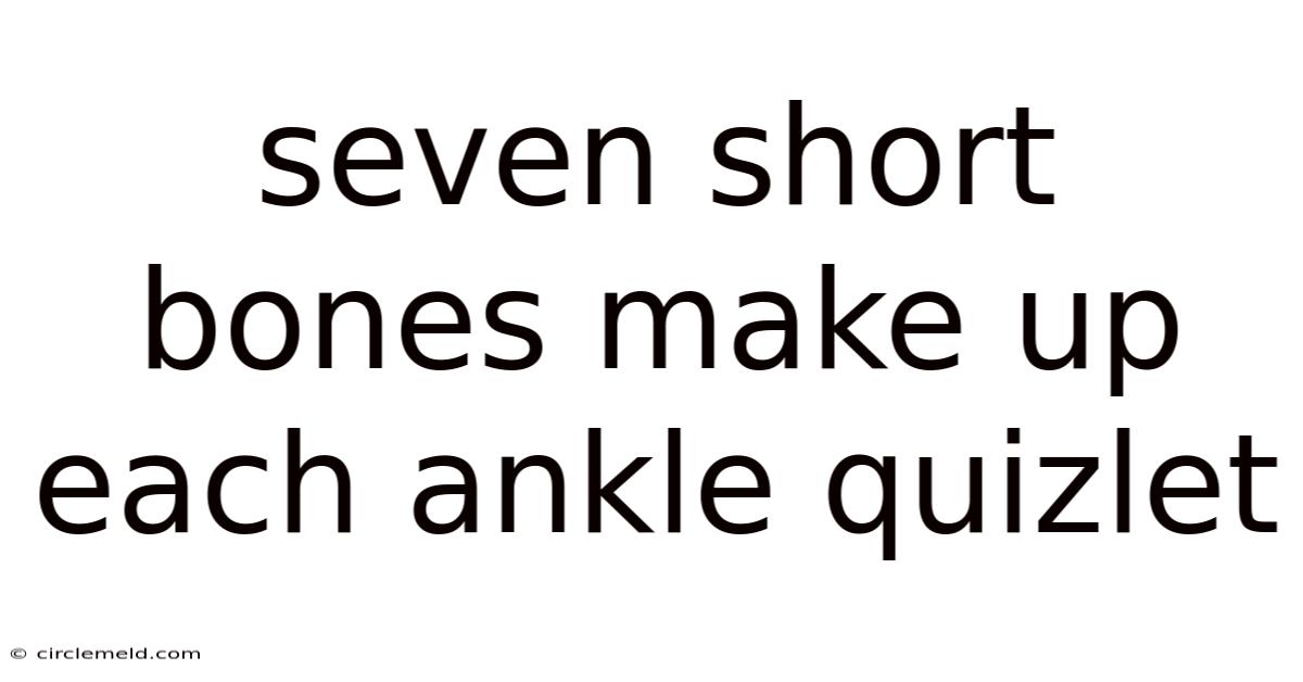 Seven Short Bones Make Up Each Ankle Quizlet