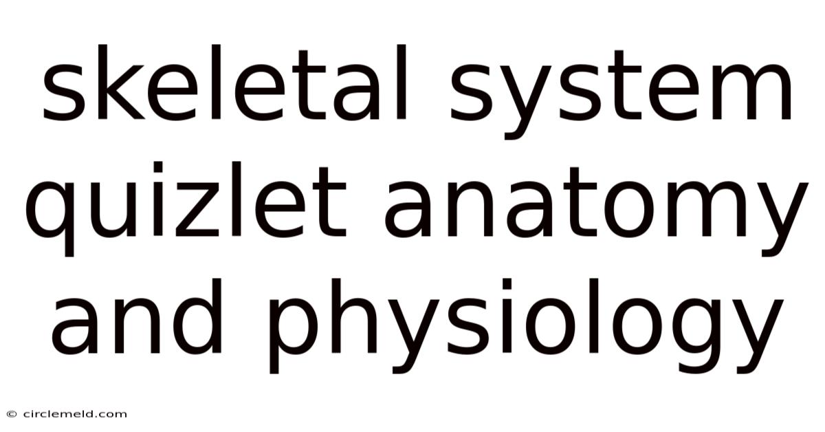 Skeletal System Quizlet Anatomy And Physiology