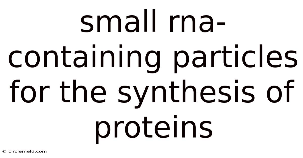 Small Rna-containing Particles For The Synthesis Of Proteins