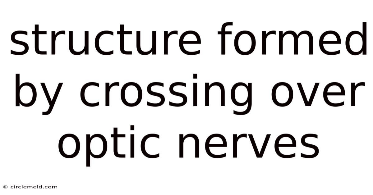 Structure Formed By Crossing Over Optic Nerves