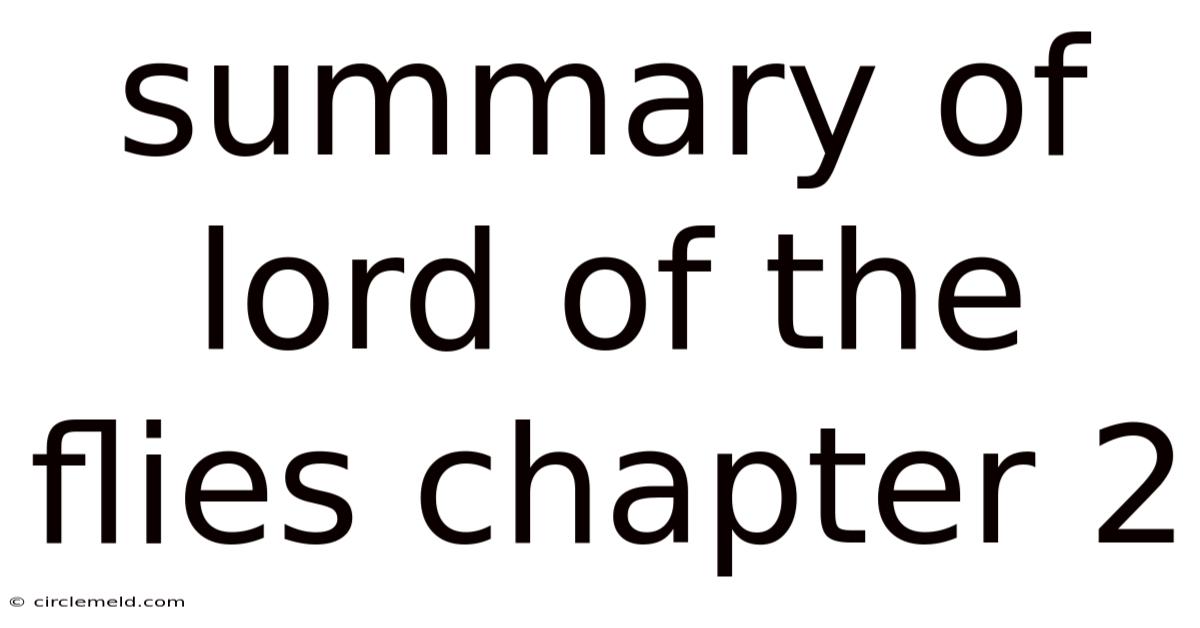 Summary Of Lord Of The Flies Chapter 2