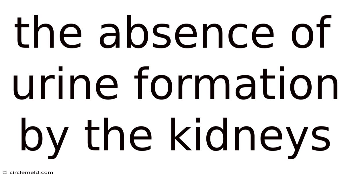 The Absence Of Urine Formation By The Kidneys