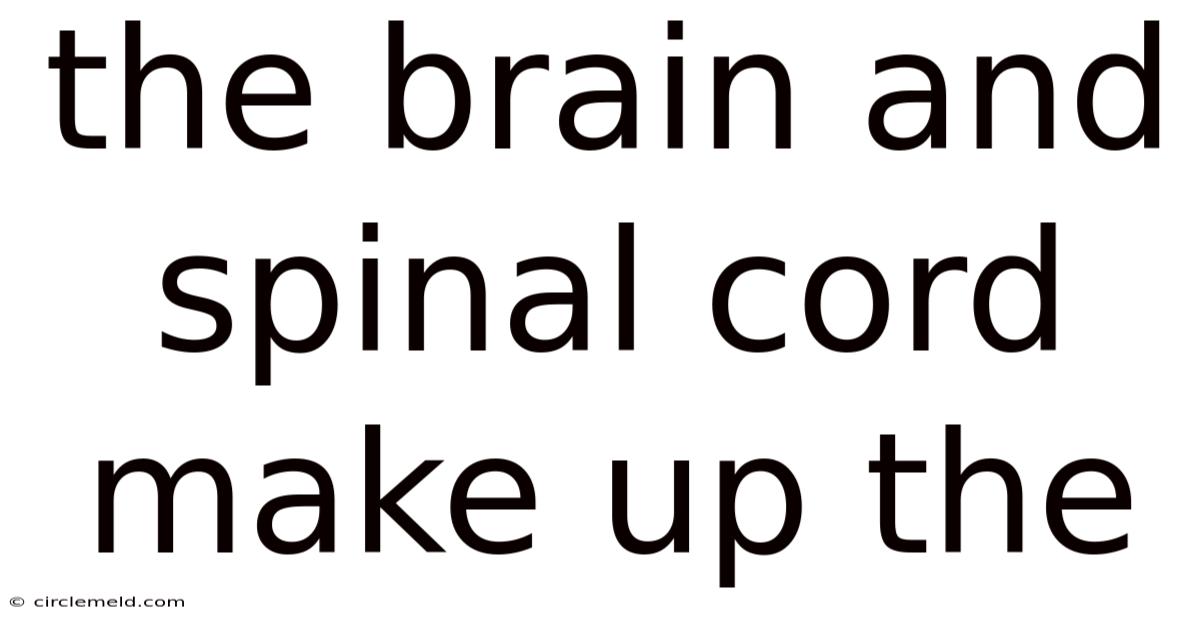 The Brain And Spinal Cord Make Up The