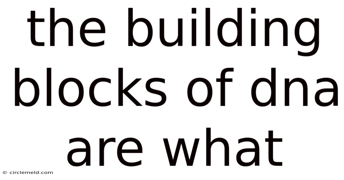 The Building Blocks Of Dna Are What