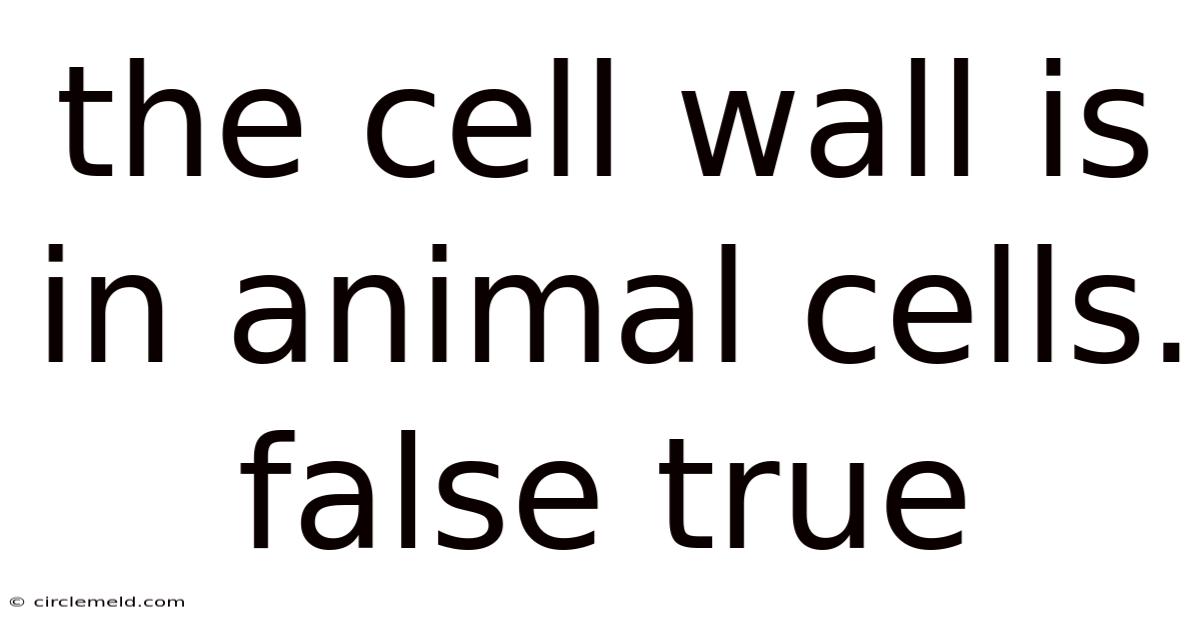 The Cell Wall Is In Animal Cells. False True