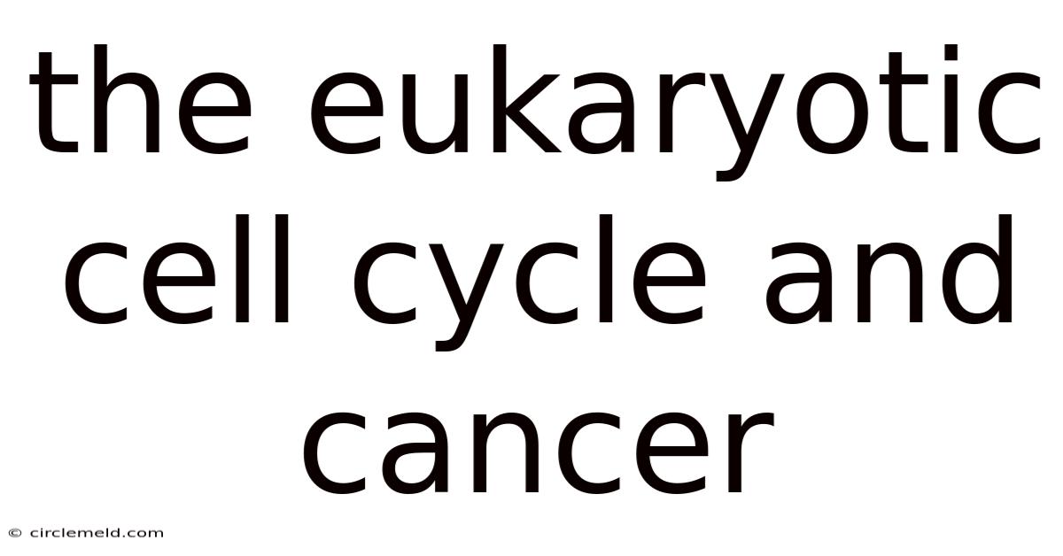 The Eukaryotic Cell Cycle And Cancer