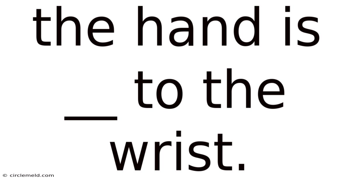 The Hand Is __ To The Wrist.