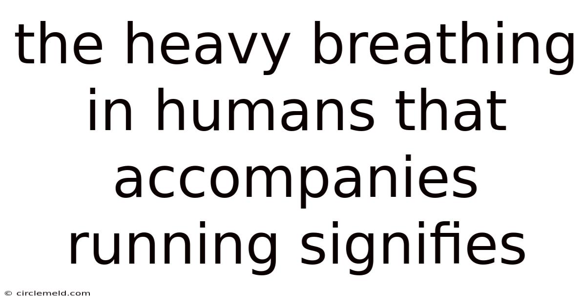 The Heavy Breathing In Humans That Accompanies Running Signifies