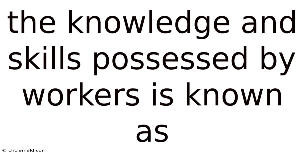 The Knowledge And Skills Possessed By Workers Is Known As