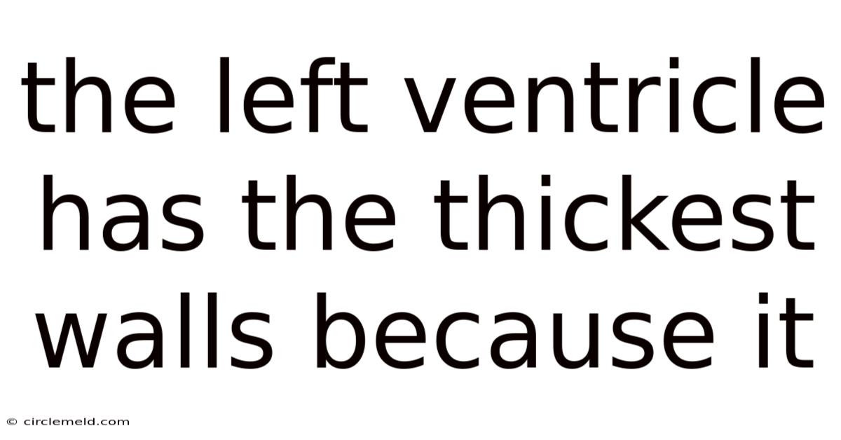 The Left Ventricle Has The Thickest Walls Because It