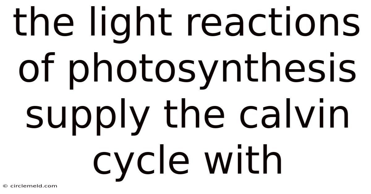 The Light Reactions Of Photosynthesis Supply The Calvin Cycle With