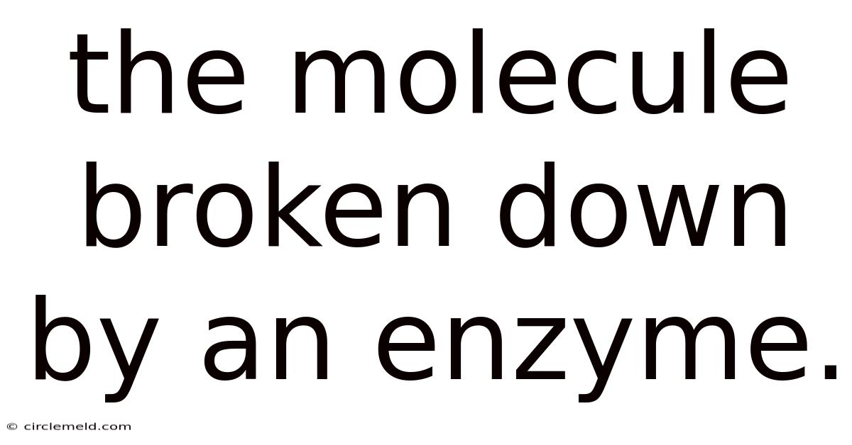 The Molecule Broken Down By An Enzyme.