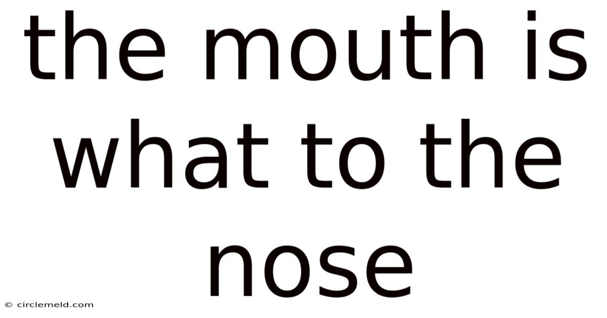 The Mouth Is What To The Nose