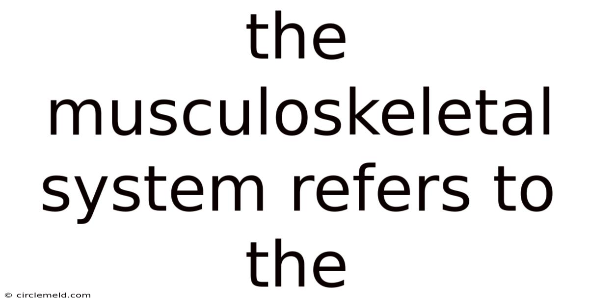 The Musculoskeletal System Refers To The