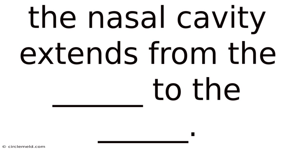 The Nasal Cavity Extends From The ______ To The ______.