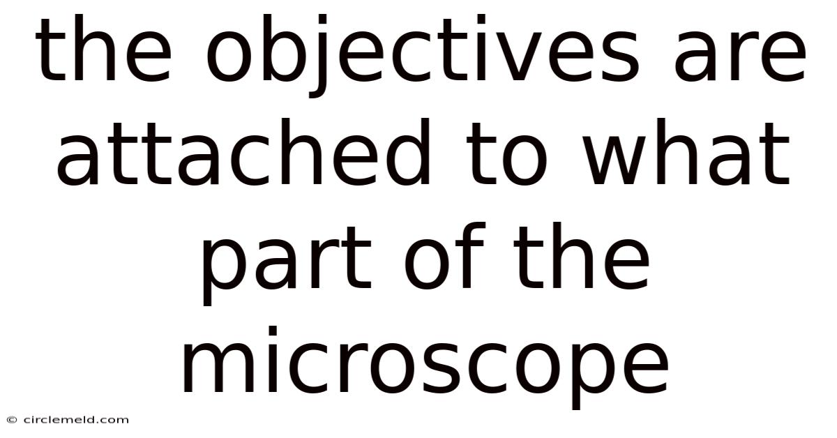 The Objectives Are Attached To What Part Of The Microscope