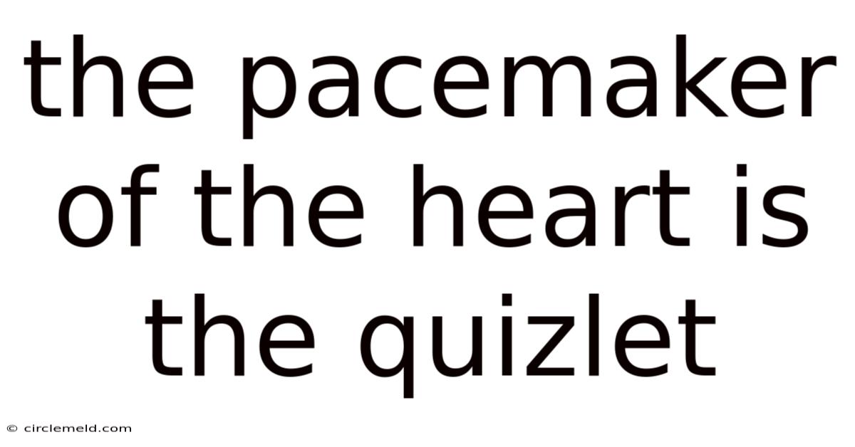 The Pacemaker Of The Heart Is The Quizlet