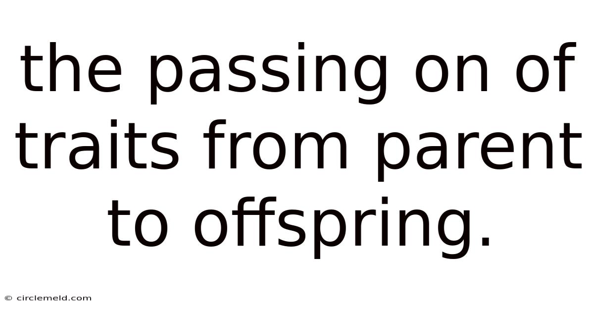 The Passing On Of Traits From Parent To Offspring.