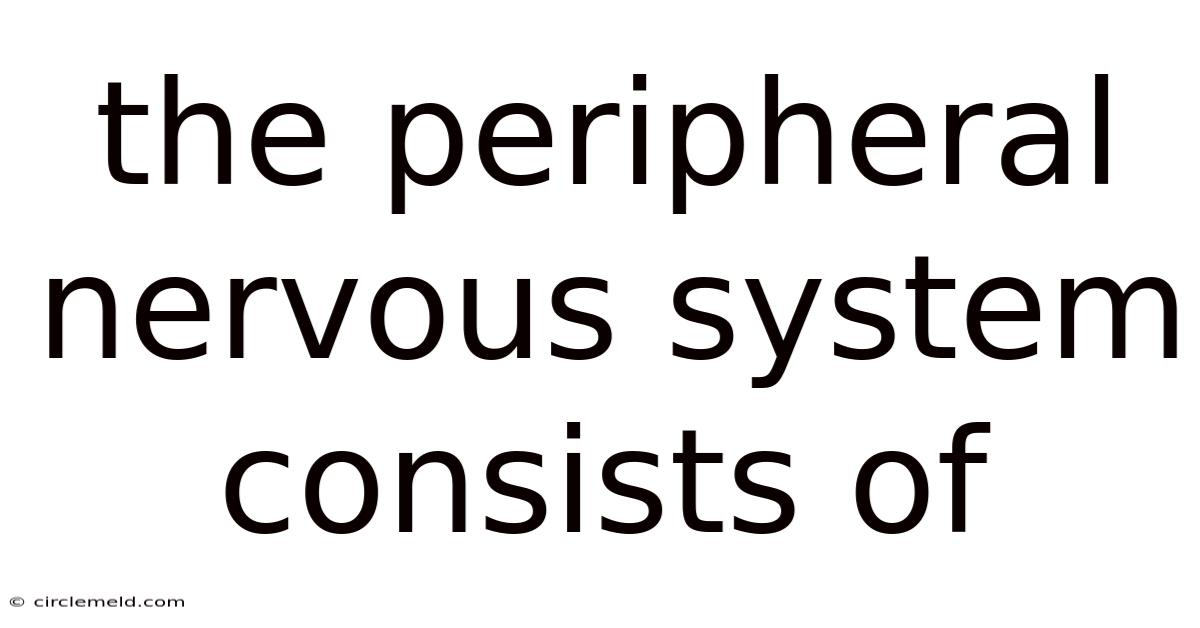 The Peripheral Nervous System Consists Of
