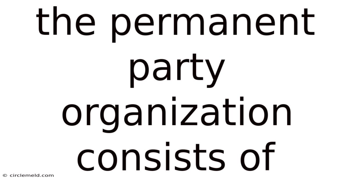 The Permanent Party Organization Consists Of