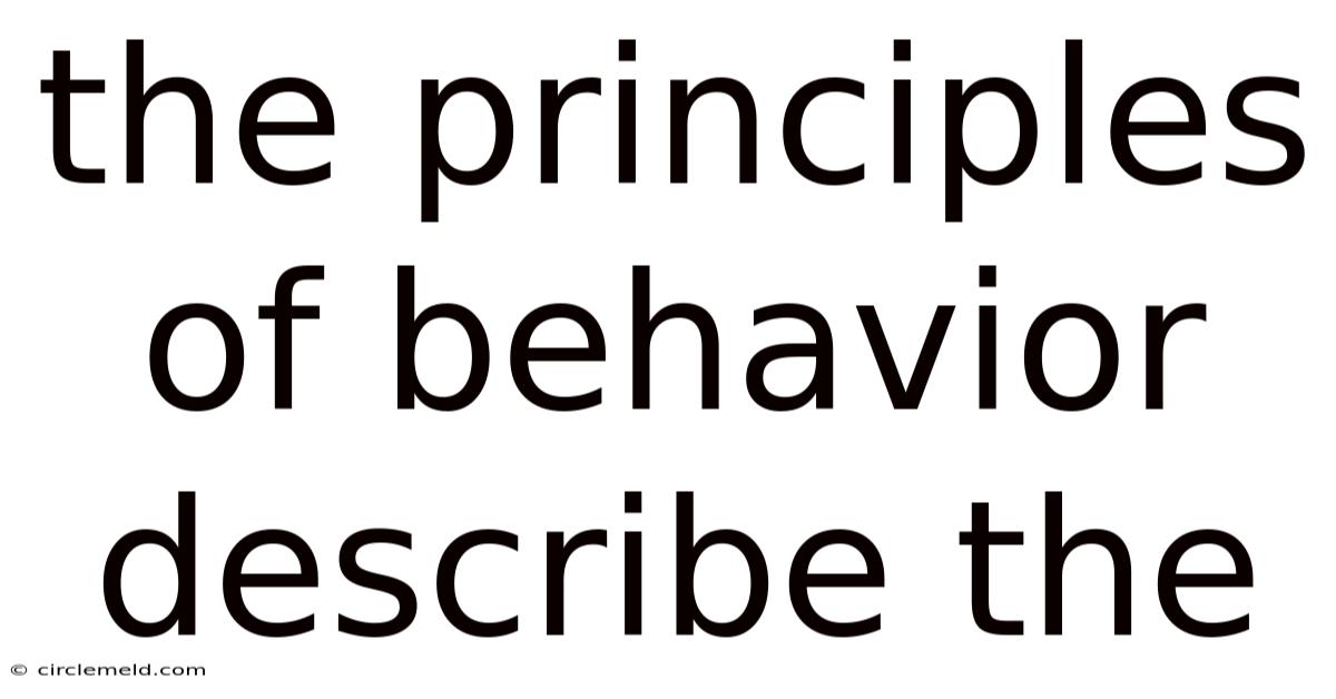 The Principles Of Behavior Describe The
