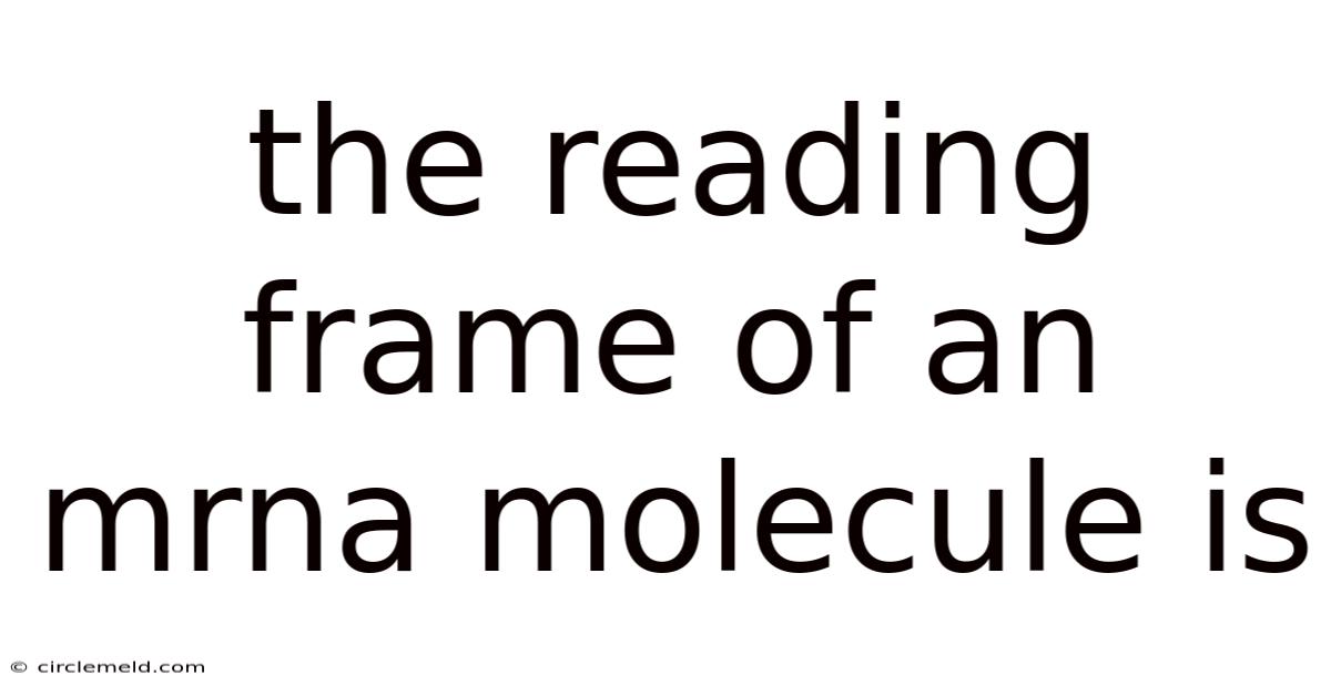 The Reading Frame Of An Mrna Molecule Is