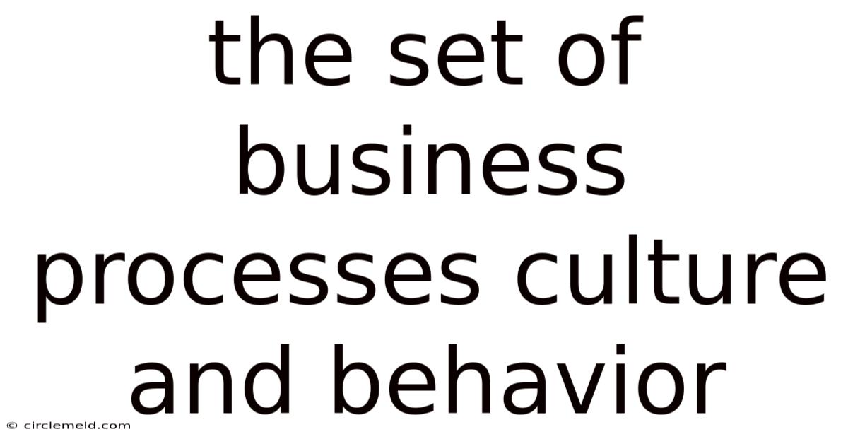 The Set Of Business Processes Culture And Behavior