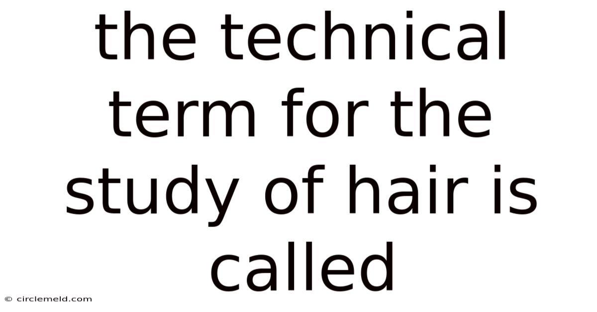The Technical Term For The Study Of Hair Is Called