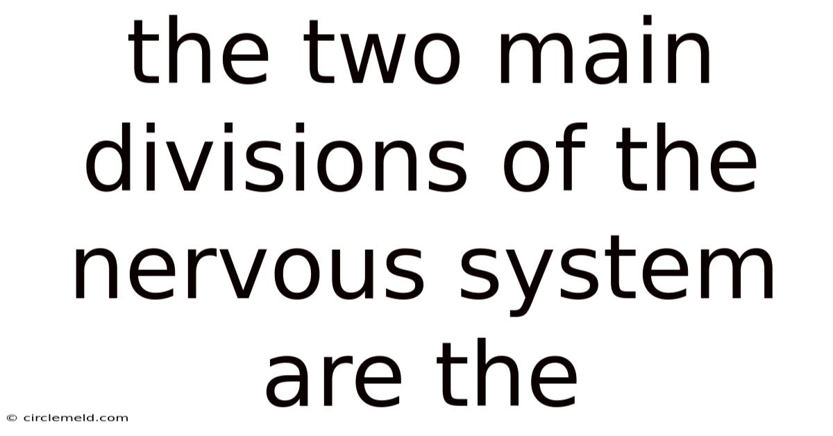 The Two Main Divisions Of The Nervous System Are The