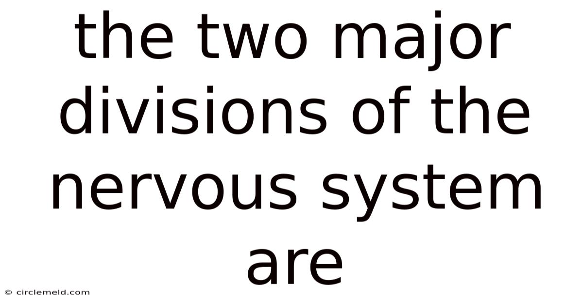 The Two Major Divisions Of The Nervous System Are