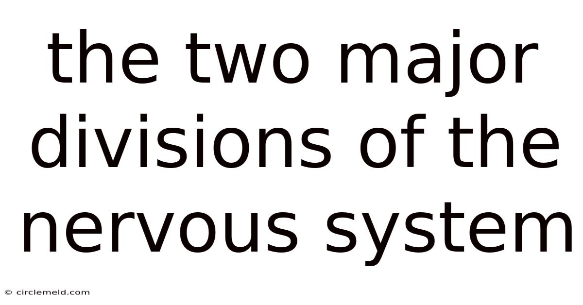 The Two Major Divisions Of The Nervous System