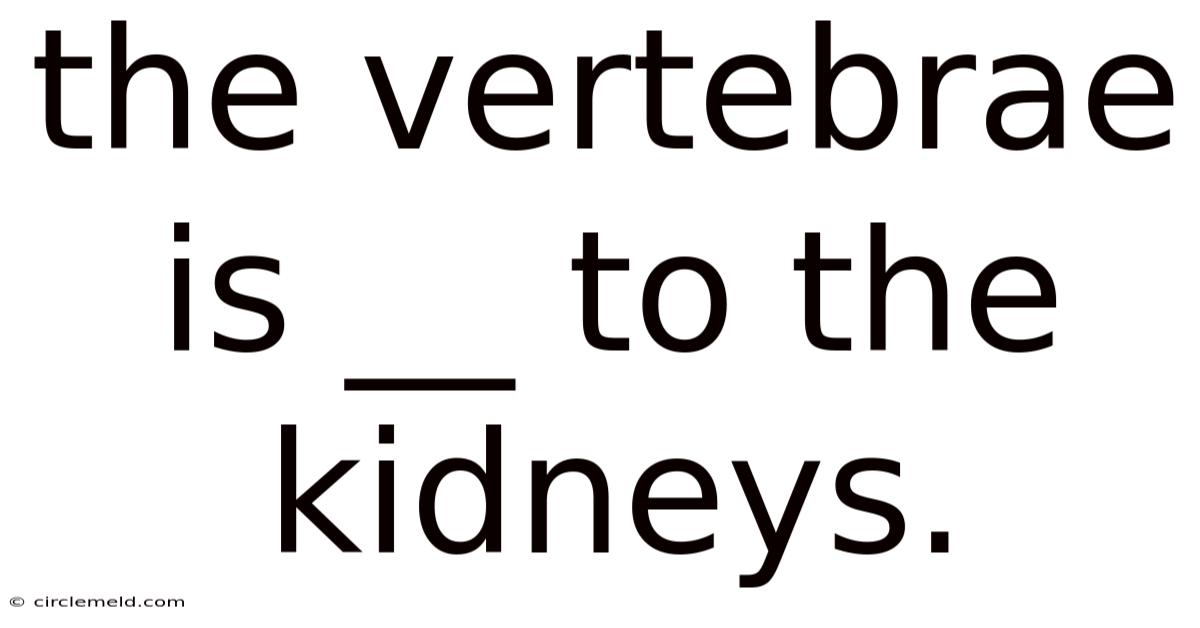 The Vertebrae Is __ To The Kidneys.