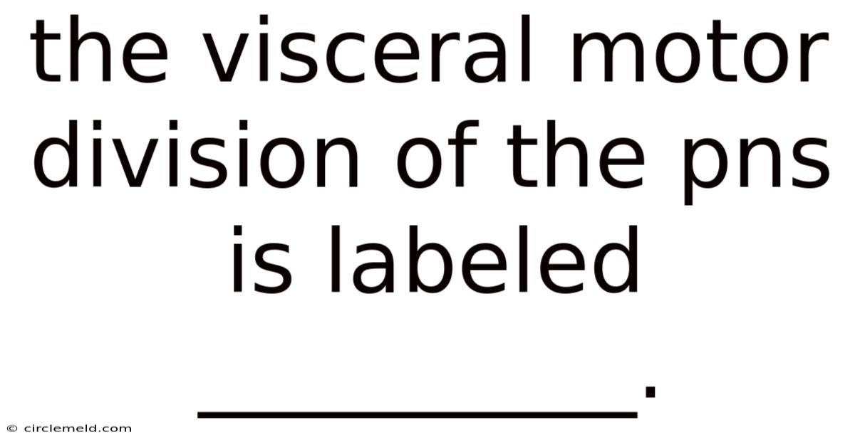 The Visceral Motor Division Of The Pns Is Labeled __________.