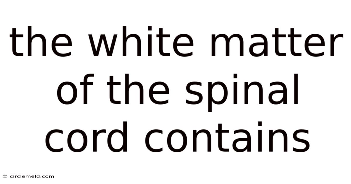 The White Matter Of The Spinal Cord Contains