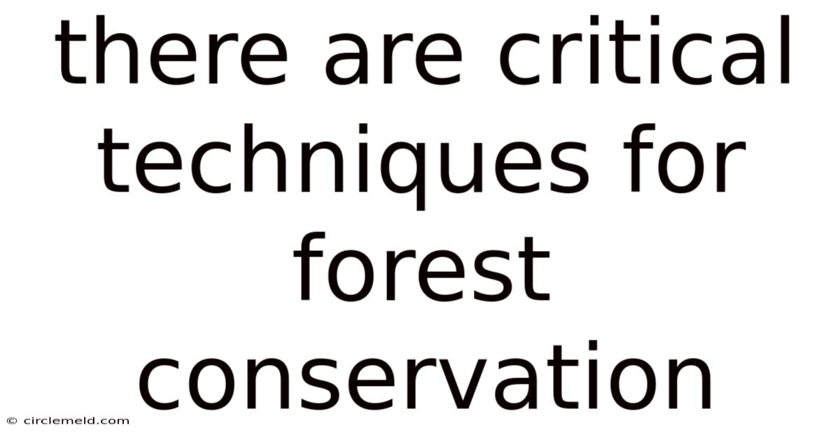 There Are Critical Techniques For Forest Conservation