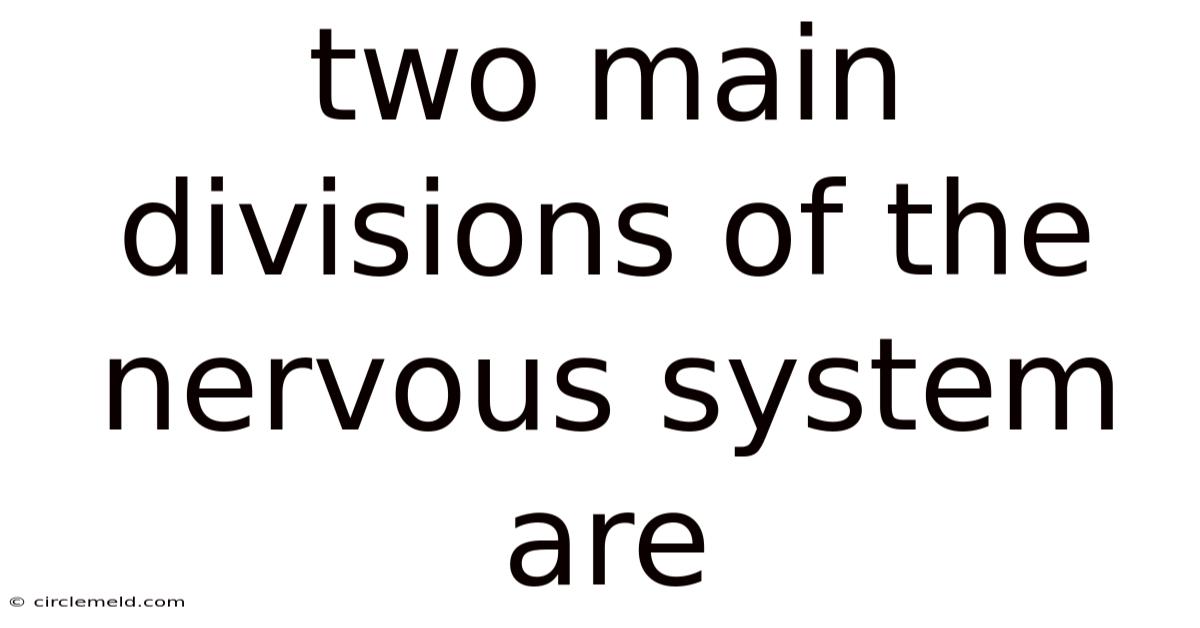 Two Main Divisions Of The Nervous System Are