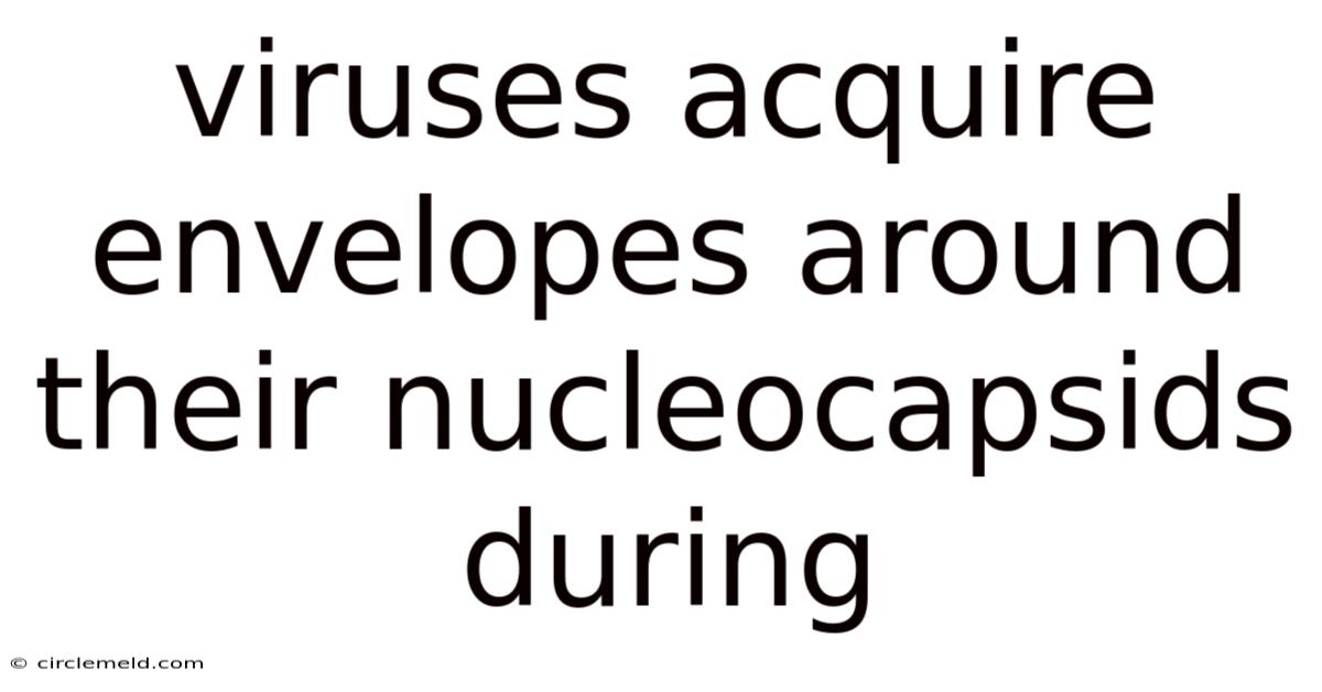 Viruses Acquire Envelopes Around Their Nucleocapsids During
