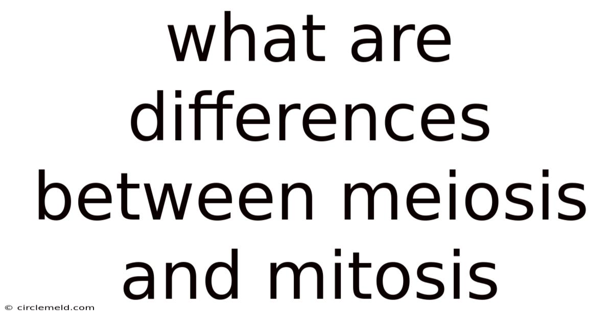 What Are Differences Between Meiosis And Mitosis