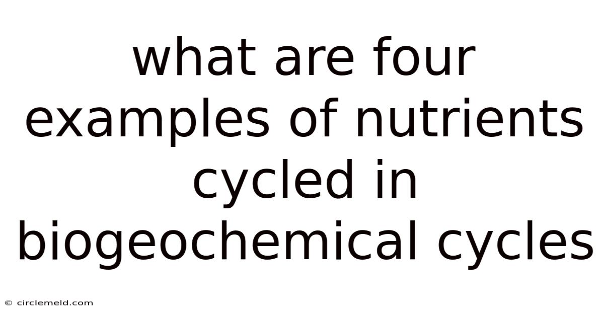What Are Four Examples Of Nutrients Cycled In Biogeochemical Cycles