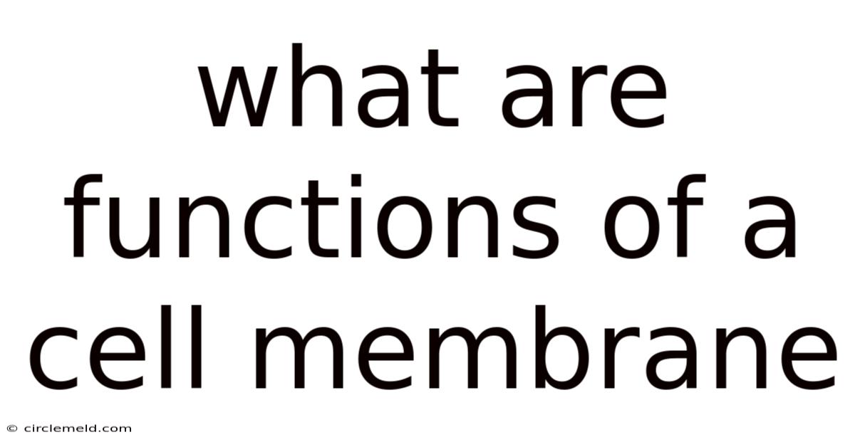 What Are Functions Of A Cell Membrane