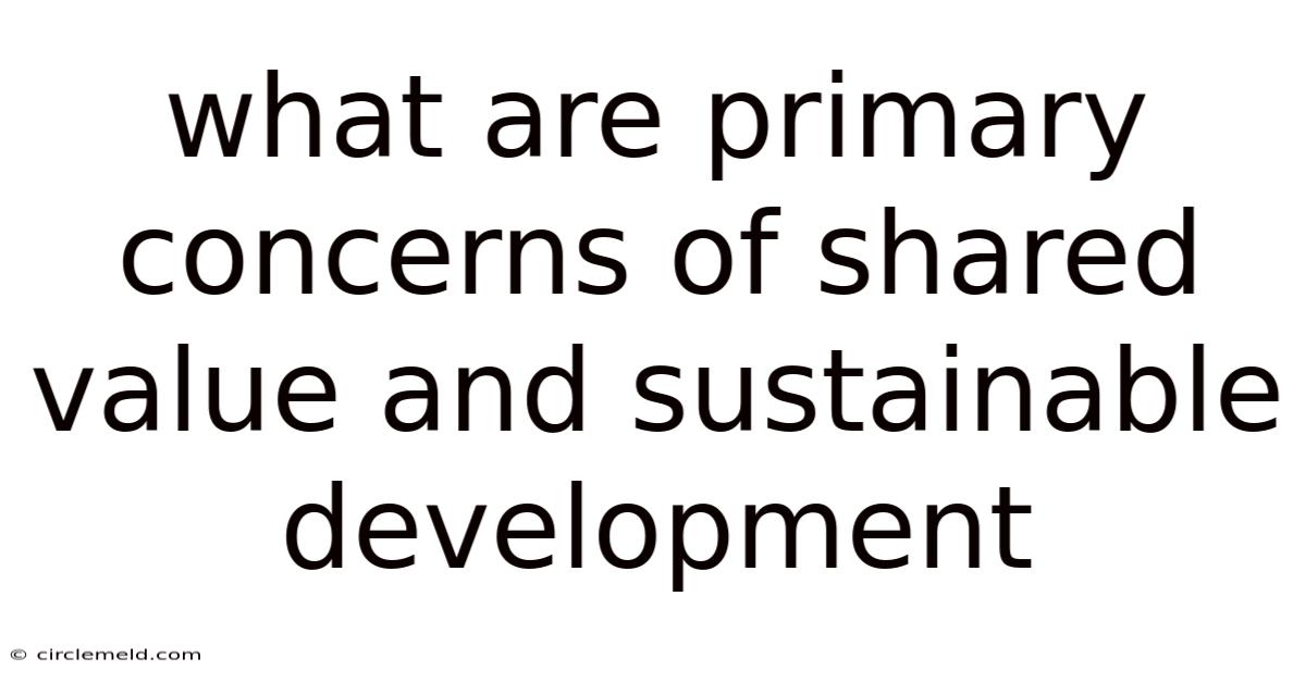 What Are Primary Concerns Of Shared Value And Sustainable Development