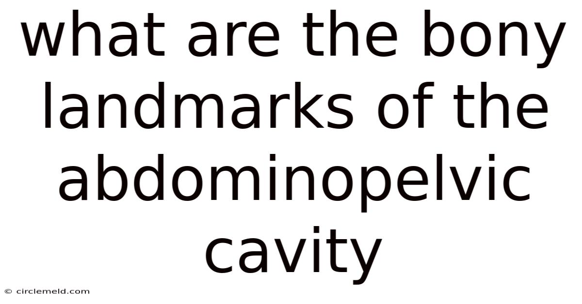 What Are The Bony Landmarks Of The Abdominopelvic Cavity