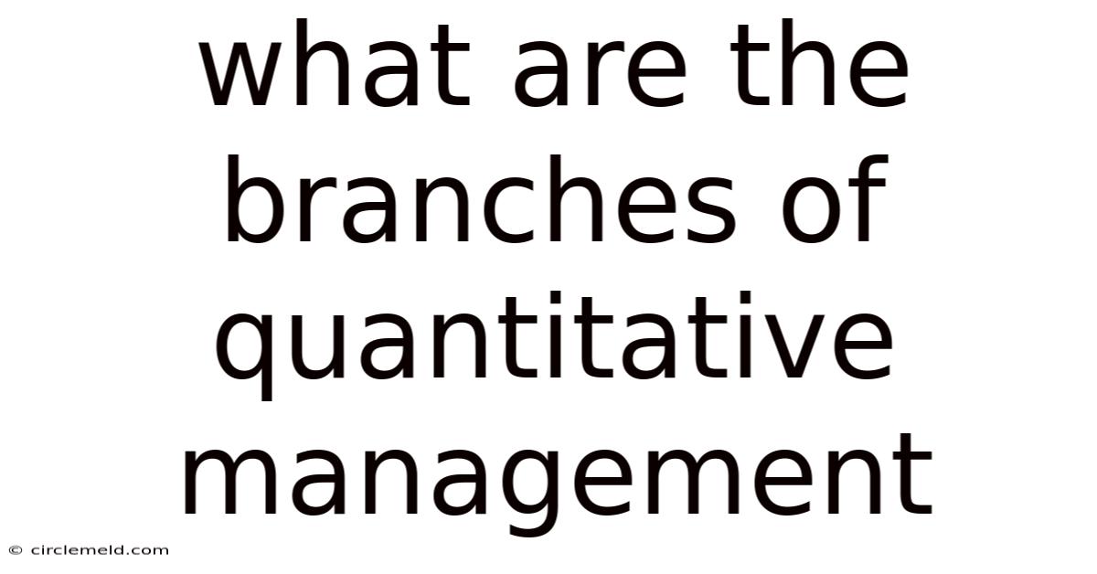 What Are The Branches Of Quantitative Management