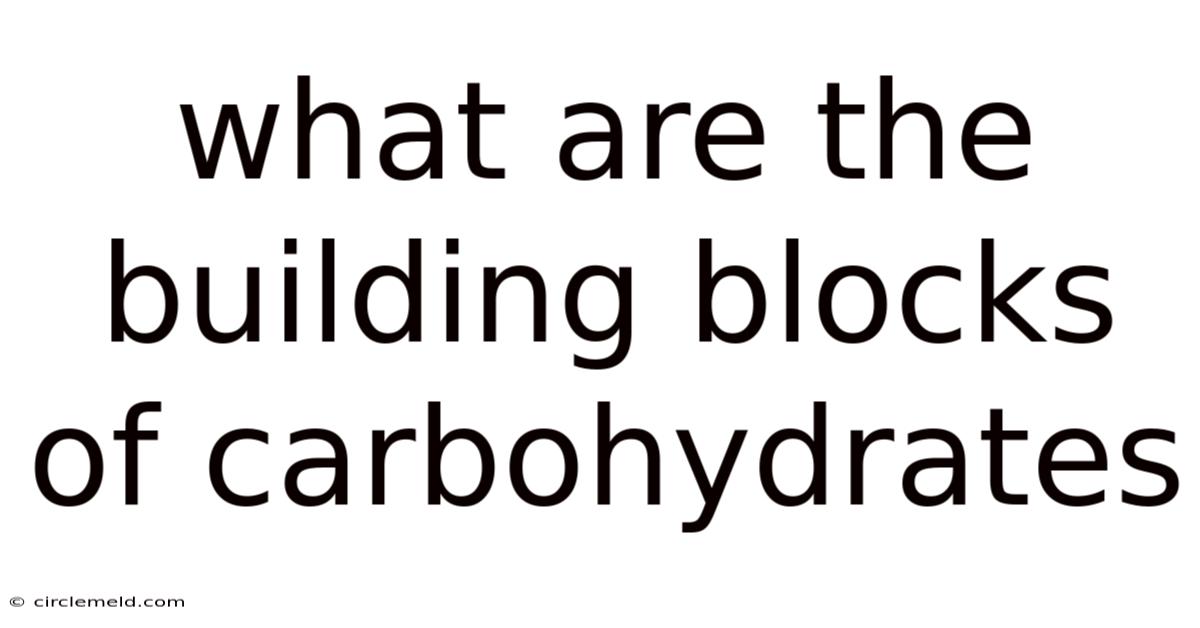 What Are The Building Blocks Of Carbohydrates