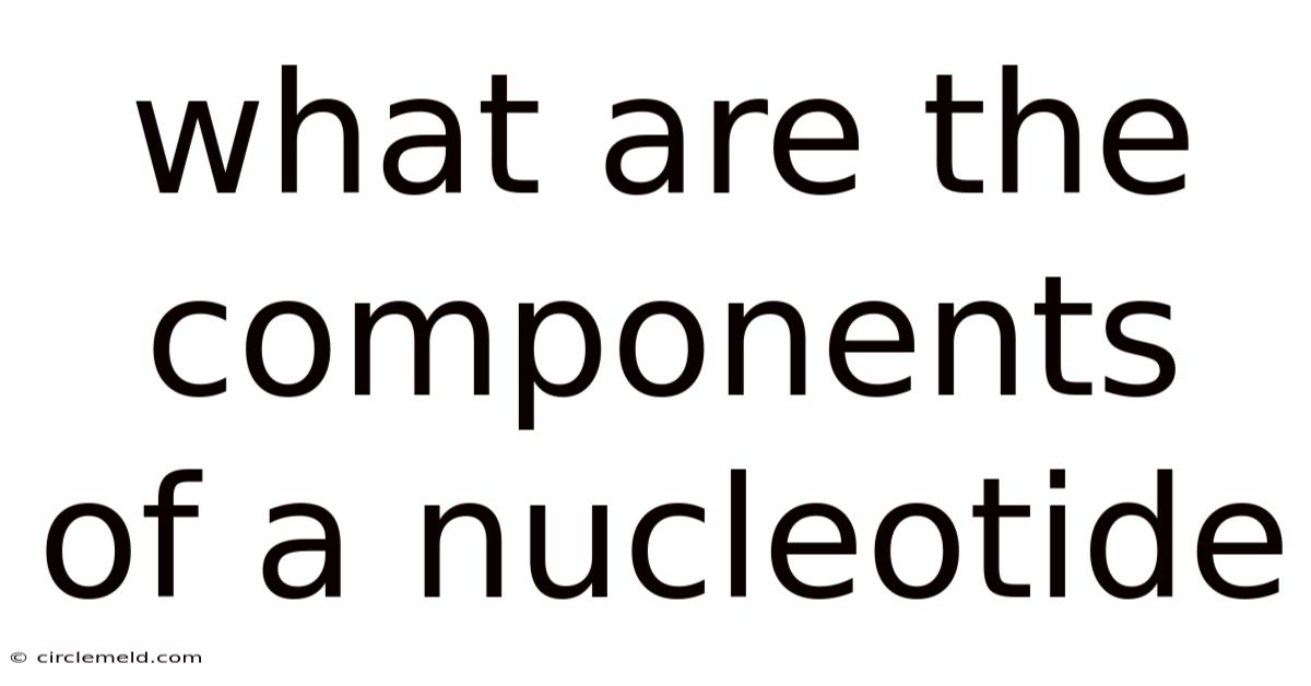 What Are The Components Of A Nucleotide