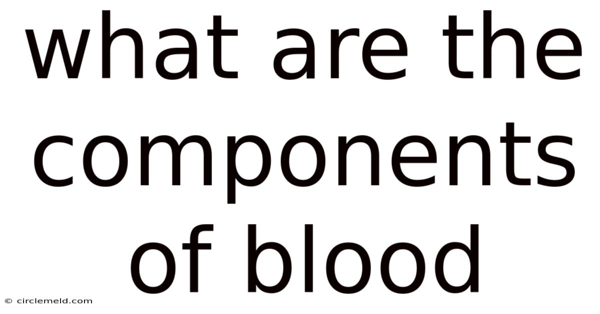 What Are The Components Of Blood