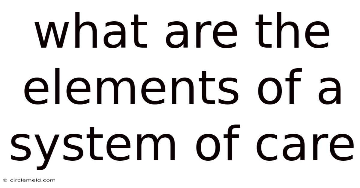 What Are The Elements Of A System Of Care